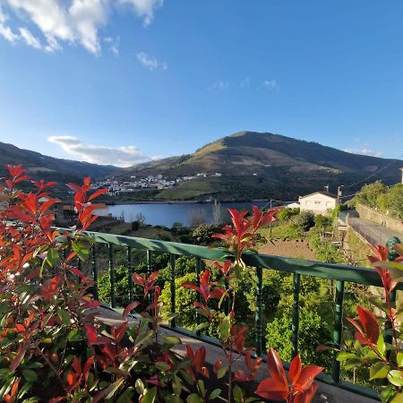 Casa Dos Avos - Folgosa Douro Villa Exterior foto