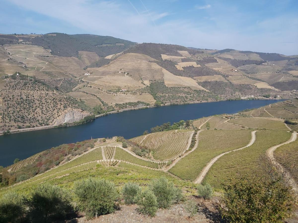 Casa Dos Avos - Folgosa Douro Villa Exterior foto