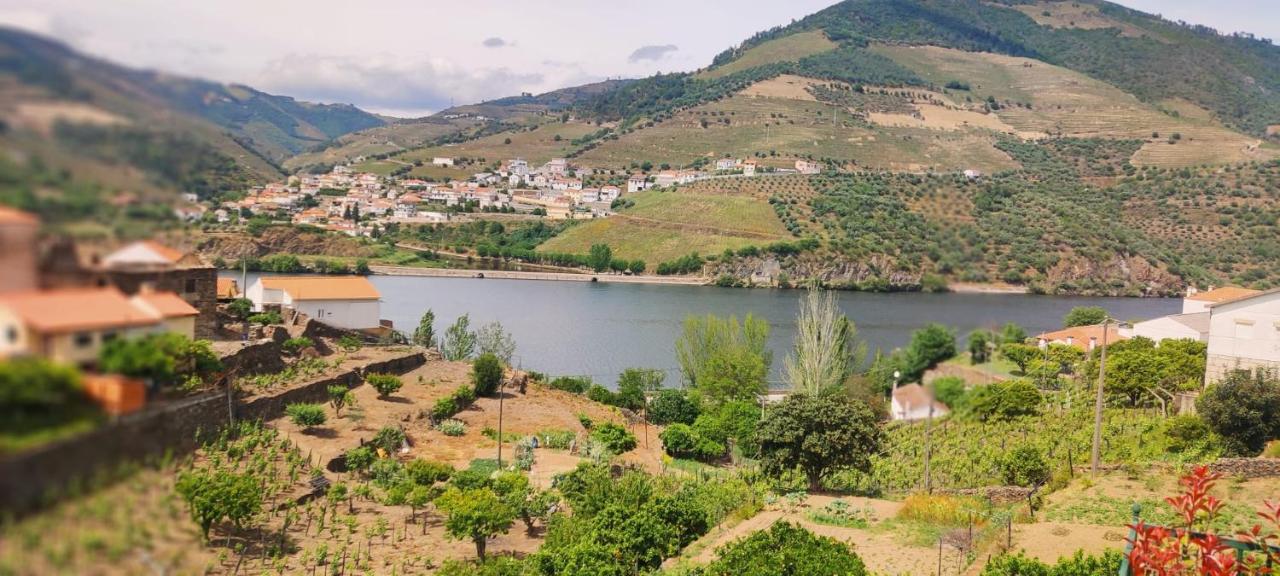 Casa Dos Avos - Folgosa Douro Villa Exterior foto